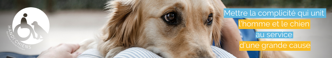 Soutenez le programme chien d'assistance HANDI'CHIENS (1).png